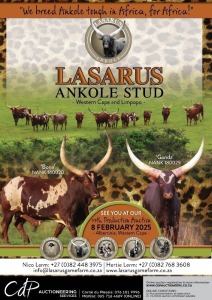 LASARUS GAME FARM 11TH PRODUCTION AUCTION - ALBERTINA