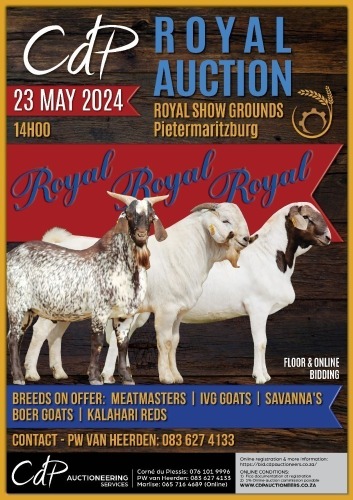 ROYAL SHOW AUCTION