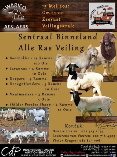 SENTRAAL BINNELAND - ALLE RAS VEILING