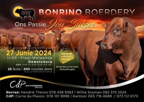 BONRINO BOERDERY - 21 STE PRODUKSIEVEILING