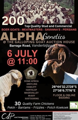 ALPHA GENETICS