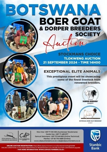BOTSWANA BOER GOAT & DORPER ASS AUCTION