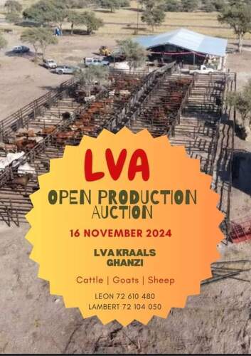 LVA PRODUCTION SALE