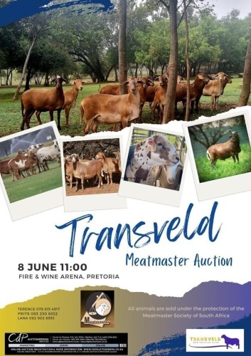 TRANSVELD MEATMASTERS