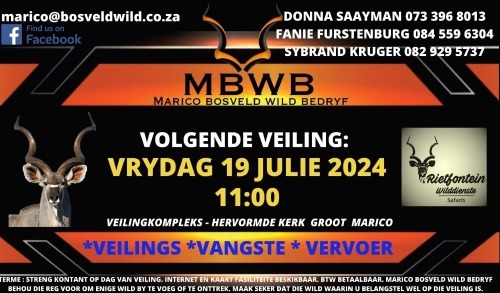 MBWB - WILDVEILING - Groot Marico