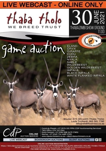 THABAZIMBI WILDLIFE SERVICES VEILING  - THABA THOLO