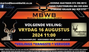 MBWB - WILDVEILING - Groot Marico