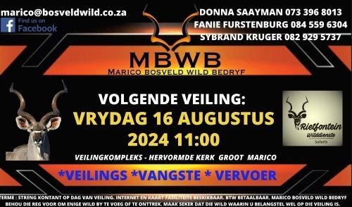 MBWB - WILDVEILING - Groot Marico