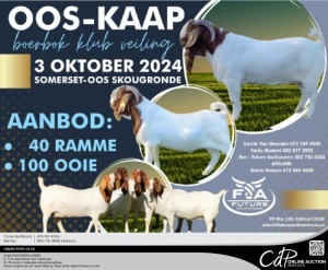 SOMERSET OOS BOERGOAT AUCTION