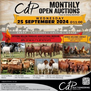 CDP OPEN COMMERCIAL AUCTION - DITSONG WILLEM PRINSLOO AGRICULTURAL MUSEUM