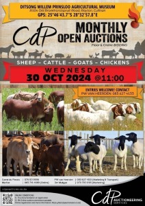 CDP OPEN COMMERCIAL AUCTION - DITSONG WILLEM PRINSLOO AGRICULTURAL MUSEUM