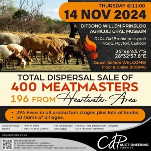 TOTAL DISPERSAL SALE OF 400 MEATMASTERS - DITSONG WILLEM PRINSLOO AGRICULTURAL MUSEUM