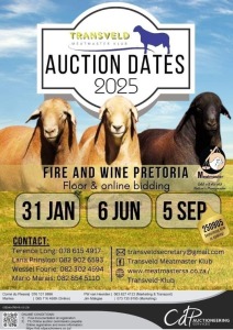 TRANSVELD MEATMASTERS