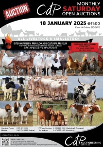 CDP OPEN COMMERCIAL AUCTION - DITSONG WILLEM PRINSLOO AGRICULTURAL MUSEUM