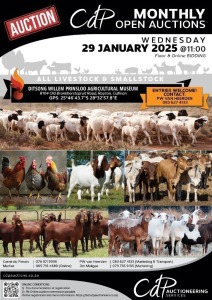 CDP OPEN COMMERCIAL AUCTION - DITSONG WILLEM PRINSLOO AGRICULTURAL MUSEUM