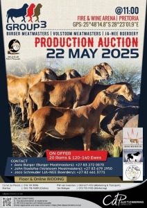 GROUP 3 PRODUCTION AUCTION