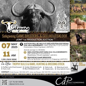 SEKGWENG GAME BREEDERS & GEELHOUTSKLOOF JOINT 1st PRODUCTION AUCTION