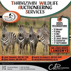 THABAZIMBI WILDLIFE SERVICES WILDVEILING