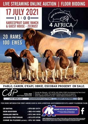 4 AFRICA BOERBOKVEILING- ZEERUST