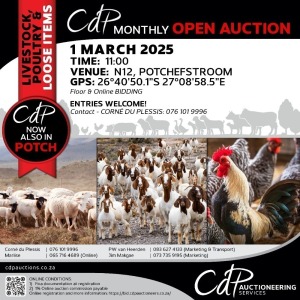 CDP OPEN COMMERCIAL AUCTION - N12 POTCHEFSTROOM