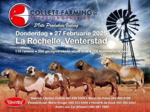 COLLETT FARMING SUPERIOR GENETICS