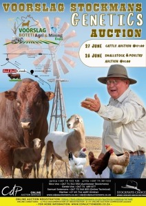 VOORSLAG STOCKMANS GENETICS AUCTION