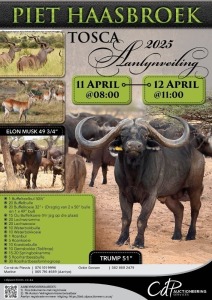  PIET HAASBROEK BREEDING & HUNTING TIMED AUCTION - TOSCA