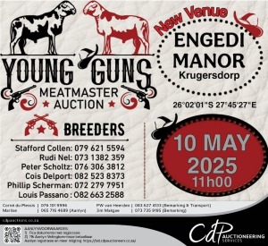 YOUNG GUNS MEATMASTER AUCTION