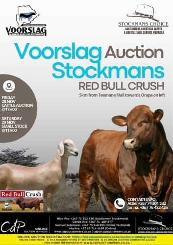VOORSLAG AUCTION STOCKMANS RED BULL CRUSH