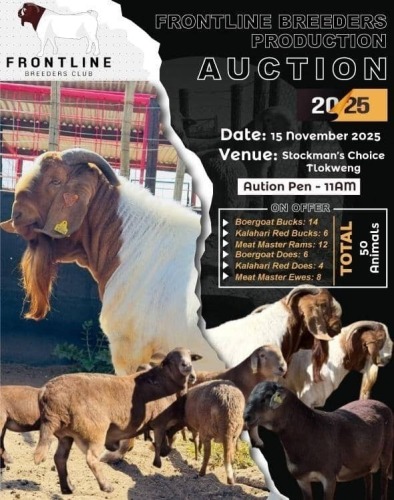 FRONTLINE BREEDERS PRODUCTION AUCTION