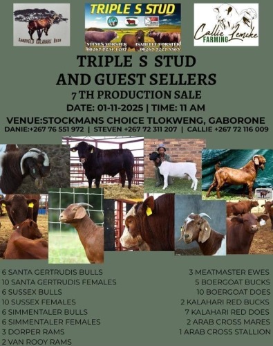 TRIPLE S STUD AND GUEST SELLERS 7th PRODUCTION SALE