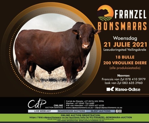 FRANZEL BONSMARA AUCTION