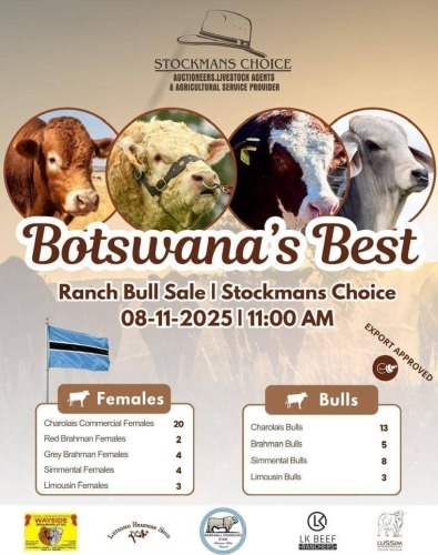 BOTSWANA'S BEST - RANCH BULL SALE
