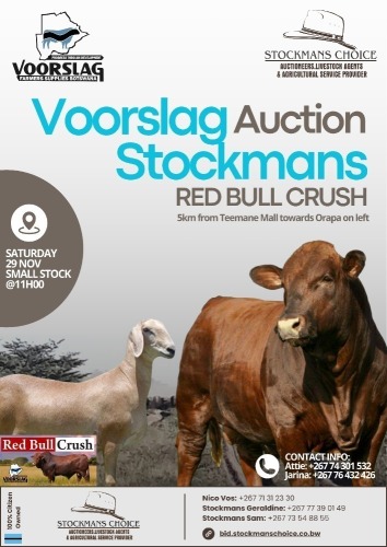 VOORSLAG AUCTION STOCKMANS RED BULL CRUSH