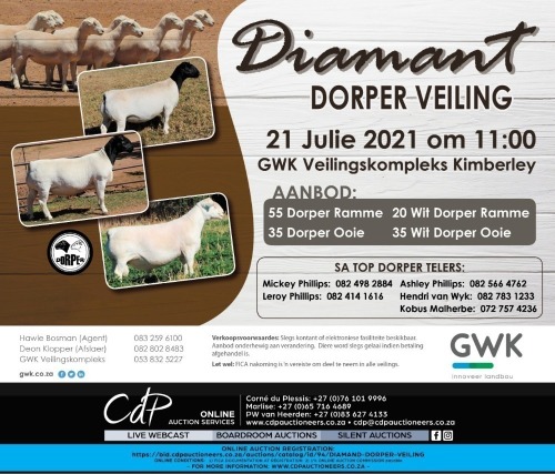DIAMAND DORPER VEILING