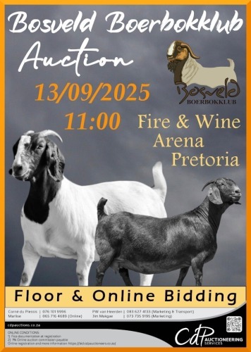 COMAUC COMMERCIAL AUCTION - COMPANY CLOSURE BENONI - Live  Bidding & Online