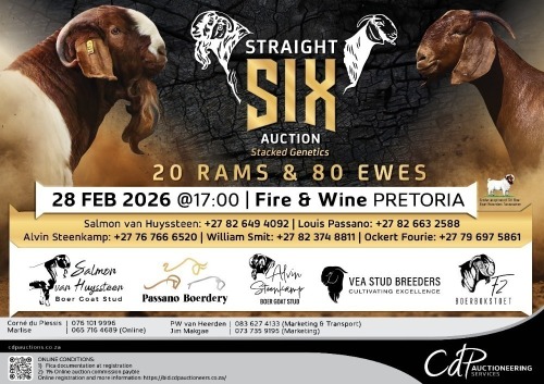 STRAIGHT SIX AUCTION