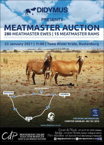 DIDYMUS MEATMASTER AUCTION