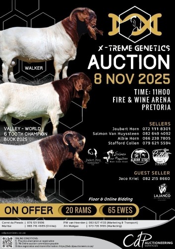 X-TREME GENETICS AUCTION