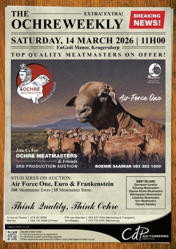 OCHRE MEATMASTERS 3DE PRODUKSIE VEILING