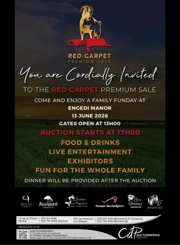 RED CARPET PREMIUM SALE
