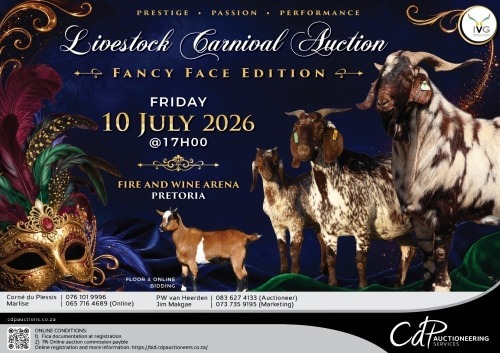 LIVESTOCK CARNIVAL AUCTION