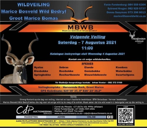 MBWB - WILDVEILING - Groot Marico