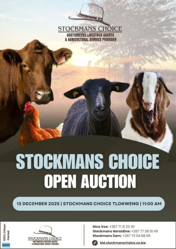 STOCKMANS CHOICE OPEN AUCTION