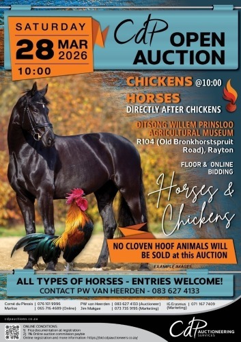 CDP OPEN HORSE AUCTION - DITSONG WILLEM PRINSLOO AGRICULTURAL MUSEUM