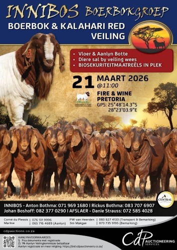 INNIBOS BOERBOKGROEP