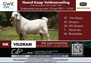 Noord-Kaap Veldramveiling