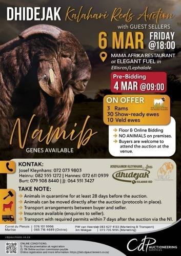 DHIDEJAK KALAHARI REDS AUCTION