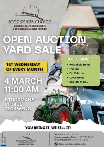 OPEN AUCTION YARD SALE