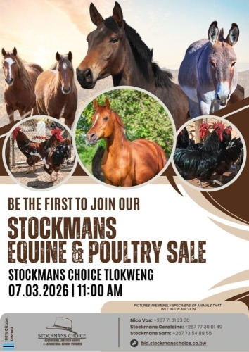 STOCKMANS EQUINE & POULTRY SALE